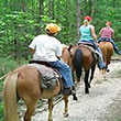 Louisiana Horseback Riding Trails