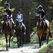 Maine Riding Stables
