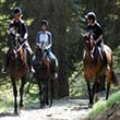 Nevada Riding Stables