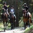 Kansas Riding Stables