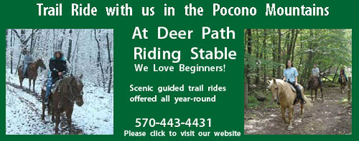 Deer Path Riding Stable