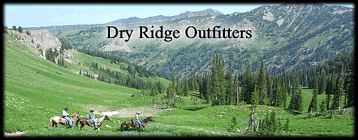 Wyoming Horseback Trail Rides and Pack Trips