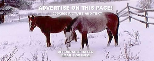 Horseback Riding Alaska