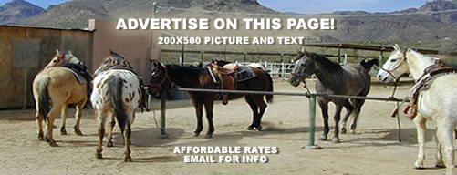 Equestrian Summer Camps in Arizona