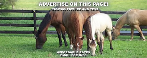 Camping with horses in Arkansas