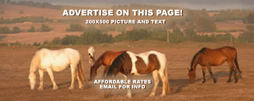 Horse Campsites in California