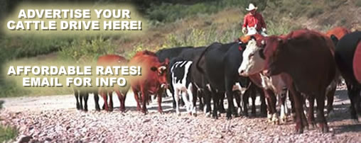Nevada Cattle Drive
