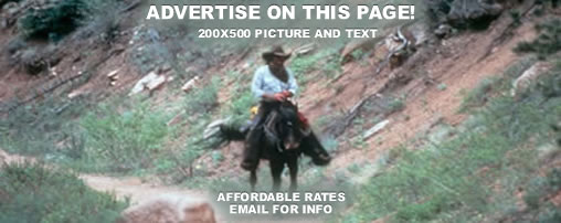 Horseback Riding in Colorado