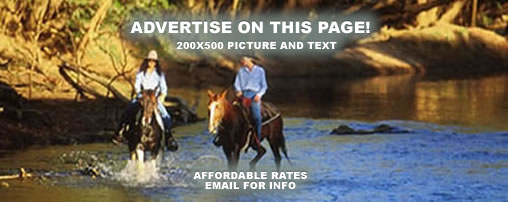 Horse Camping in Georgia