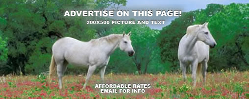 Equestrian Summer Camps in Idaho