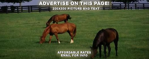 Overnight Horse Boarding in Kentucky