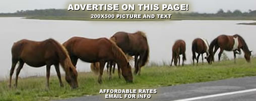 Horse Camping in Maryland