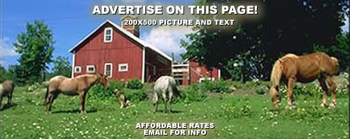 Massachusetts Bed and Breakfast