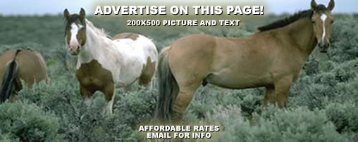 Horseback Riding Trails in Mississippi