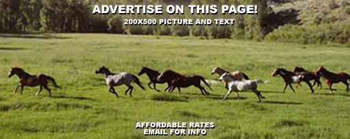 Horse Camping in Missouri