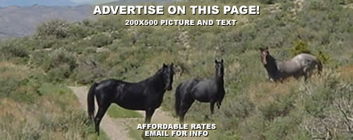 Country Inns in Nevada