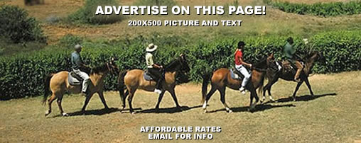 Horse Camping in New Mexico