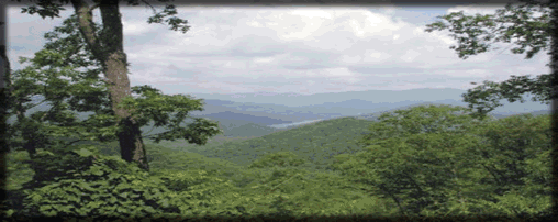 Great Vacations!  Overnight Lodging & Stables!