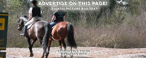 Horseback Riding Rhode Island