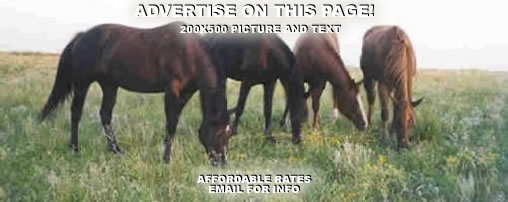 Horseback Riding South Dakota