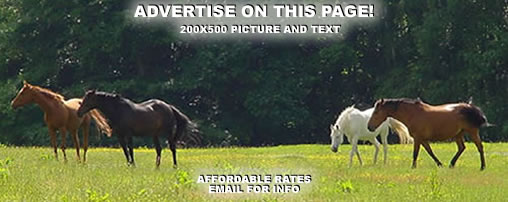 Ovenight Horse Boarding in Tennessee