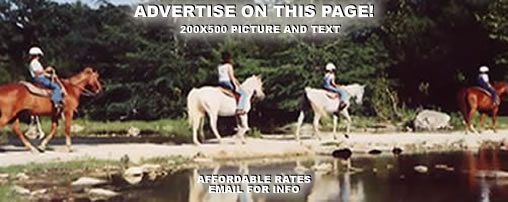 Equestrian Summer Camps in Texas