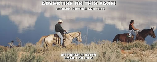Overnight Horse Boarding in Utah
