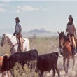 Nebraska Cattle Drives