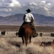 Texas Cattle Drives