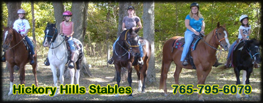Hickory Hills Stables