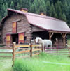 Overnight Stables